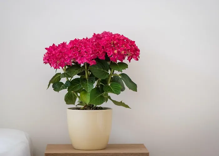 Unterlechner Apartment